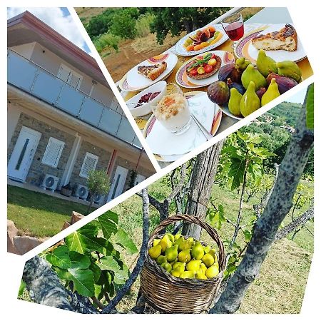 Casa Del Sole Bed & Breakfast Ceraso Dış mekan fotoğraf