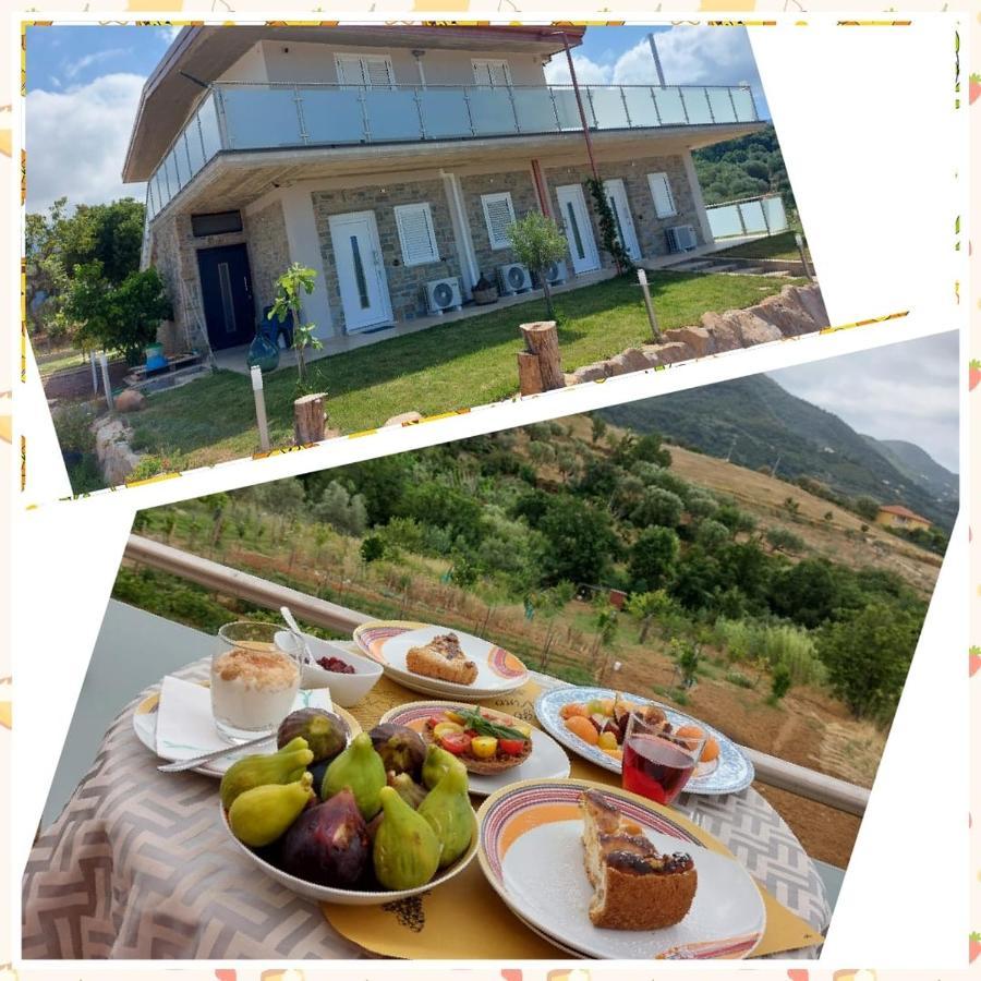 Casa Del Sole Bed & Breakfast Ceraso Dış mekan fotoğraf